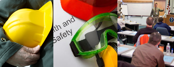 health safety consultant