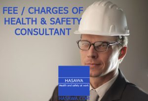 charges of health and safety consultant